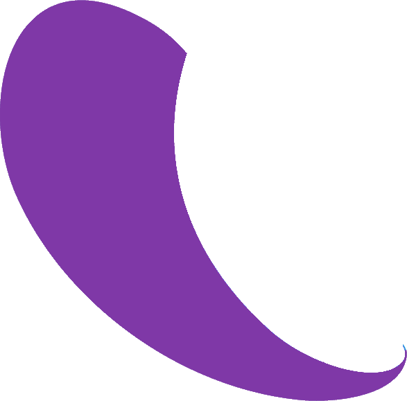 virgule ejr radio violet.png (10 KB)